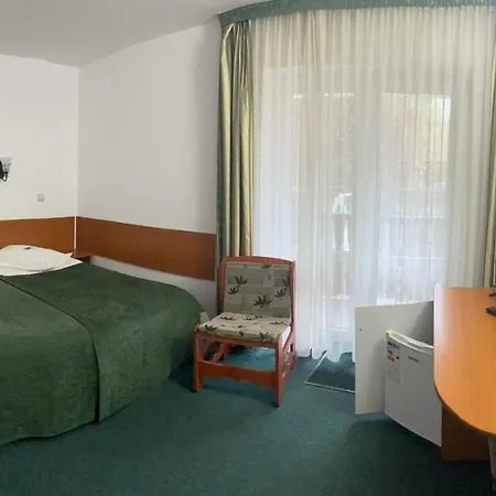 Pensiunea Olt Centrum/ Olt Centrum Panzio Bed & Breakfast *