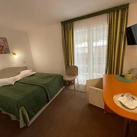 Pensiunea Olt Centrum/ Olt Centrum Panzio Bed & Breakfast BaileTusnad